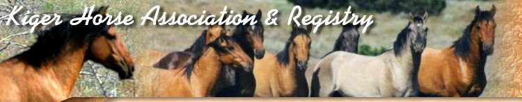 Kiger Horse Association & Registry